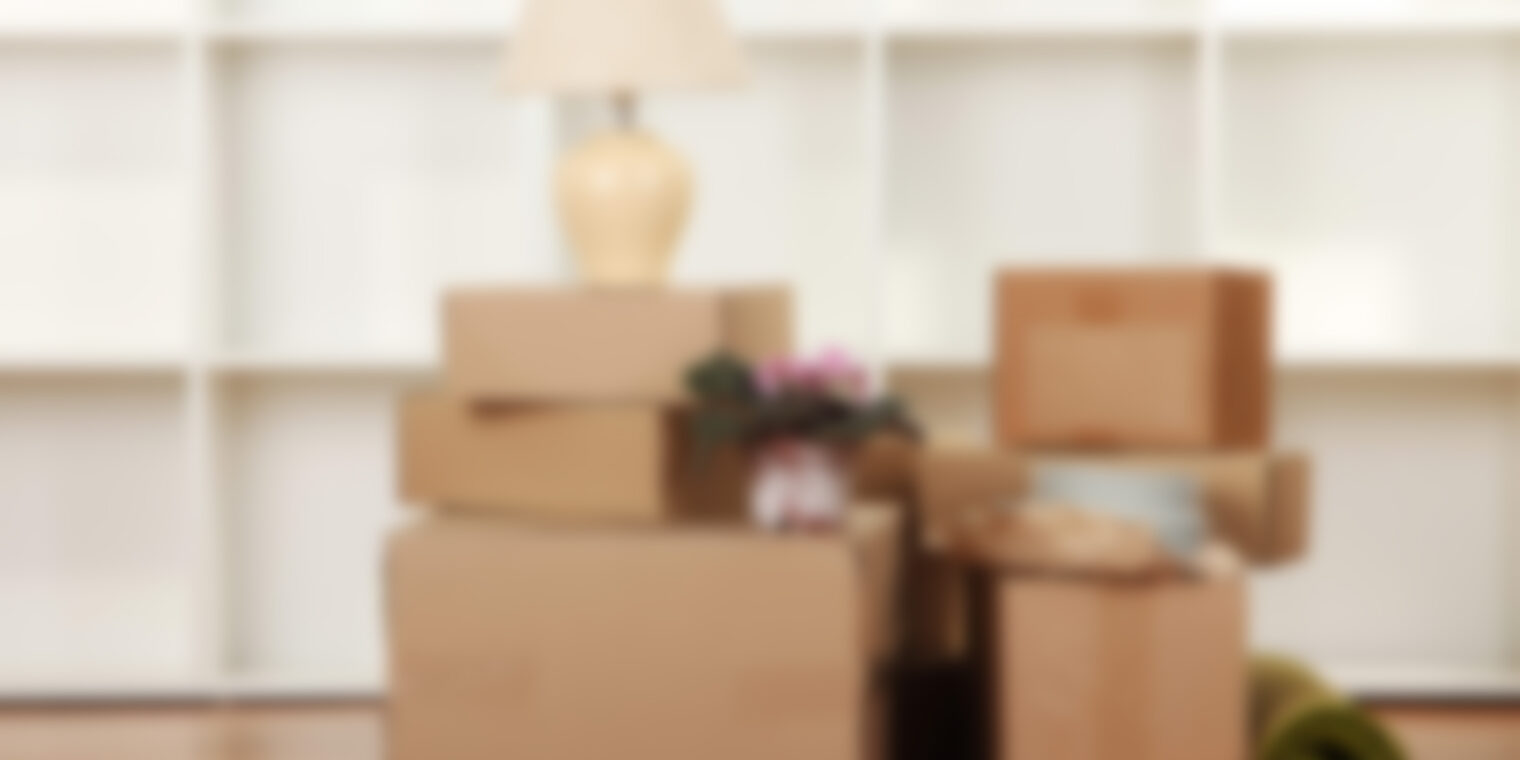 Melhores Empresas de Mudanças em São Paulo: Guia Completo 2026